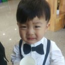 마망엘리펀트 이미지