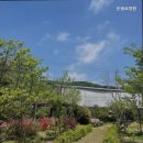 부곡리 | 부곡리요양원 은샘요양원 자연 속 아늑한 요양원