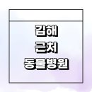 김해시 근처 동물병원 추천 잘하는곳 정보 강아지 수술 중성화 후기 가격 치료 공휴일 야간 24시 일요일