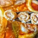 꼬꼬와아이들 이미지