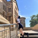 하니비디오 이미지