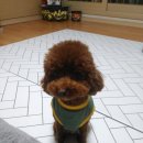 아름드리동물병원 이미지