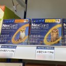 고은 동물약국 이미지