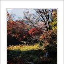 마곡사4 이미지