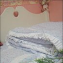 코튼스케치 이미지