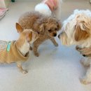 동영사 | 우다닷 호텔링