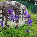 동부4리 이미지