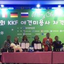 순도리네애견 이미지