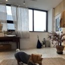 이로운바다 | 제주 구좌 카페 나이테 나의 이로운 테이블 콩고물 팥빙수 후기