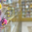 명지병원 | 명지병원장례식장 비용 후기 장례 전 과정 추가 비용 없이