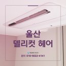델리컷헤어 네이버블로그