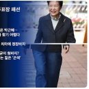 비조 이미지