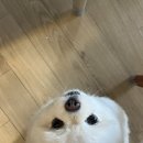 굿모닝 녹즙