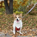 (주)에이메가 이미지