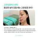 고운빛깔 이미지