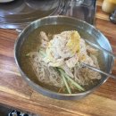 초계면옥 | 청주 오송 밀면 맛집 가원 초계면옥 점심 후기