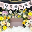플로피아 이미지