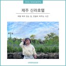 참좋은무적합기도 | [제주 신라호텔] 5살 아이 한옥 테라스 룸, 키즈 프로그램 이용 후기