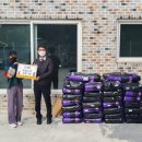 도그천사 이미지