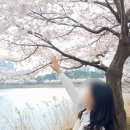 강마을공원 이미지