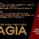 마지아 헤어