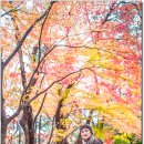 금강공원1 이미지