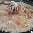 목포홍탁 이미지