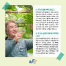 사랑포도원