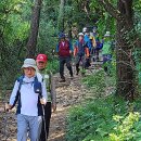 우면산둘레길 (35 매화산악회 정기산행 - 2020. 9. 22) 이미지