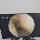 금강보청기 송파센터 이미지