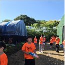 용인대 부부태권도장 이미지