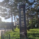 토우빈대떡 | 서울 종로 아이와 가볼 만한 곳, 서울역사박물관 &경희궁
