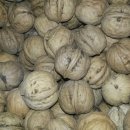 농암로(예안면) 이미지