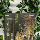 광양시립국악단 기획공연 키.나.숲 풍류 관람후기