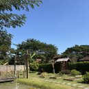 11650-16-172-7 | 치앙마이 쿠킹클래스 그랜마 오후클래스 혼자 듣고 온 후기