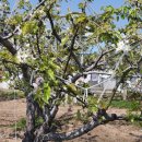 금생농장 이미지