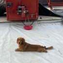 귀재농장 이미지