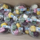 튼튼영재어린이집 이미지