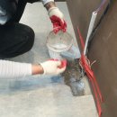 해인한의원 이미지