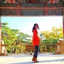 불국사 | 천년고도 경주, 불국사 다녀온 후기(+인생샷 스팟)