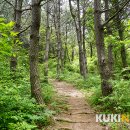 달리오름 이미지