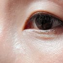 닥터셀케이