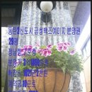 롯데금성부동산공인중개사사무소 네이버블로그