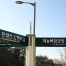 다온숲 이미지