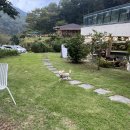 유정1955 이미지