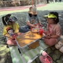 ㈜버스랜드 | 파주 아이랑 주말 가볼만한 곳｜임진각 평화랜드, 바람개비동산, 별빛누리성 놀이터까지 하루 코스 후기