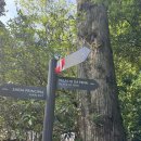 [리스본/근교]신트라투어; 페나성 Palácio Nacional da Pena_알로록달로록 곤듀님 나가신다~