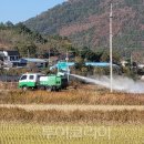 초동축산 이미지