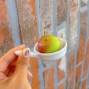 곤제역 | [공지] 의정부 곤제역 신상카페 미니사과가 있는 대형 베이커리 사과숲카페