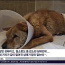 인간극장 고*선의 사랑 이미지